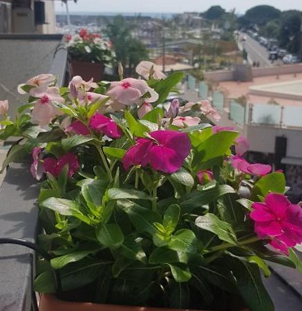 B&B La Costa Di Naxos 지아르디니낙소스 외부 사진